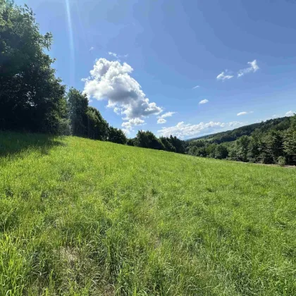 Sonniges Grundstück am Kaiserberg mit atemberaubendem Weitblick über Lannach - Bild 3