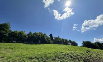 Großes Baugrundstück in idyllischer Lage mit toller Aussicht direkt Am Kaiserberg in Lannach nahe Graz