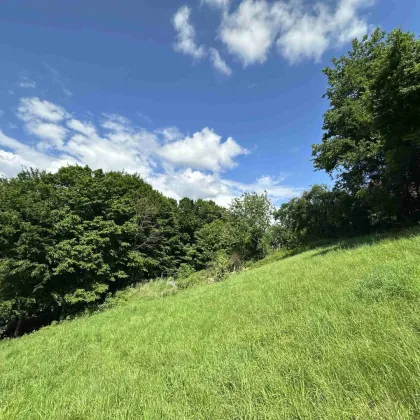 Ideal für große und kleine Bauträger! Tolles Baugrundstück  mit beeindruckendem Ausblick nahe des Grazer Stadtrands am Kaiserbergs in Lannach - Bild 2