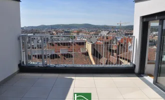 PANORAMA ROOF TOP TERRASSEN MIT ATEMBERAUBENDEN WIENBLICK!