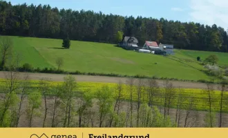 Freilandgrundstück in Rabnitz