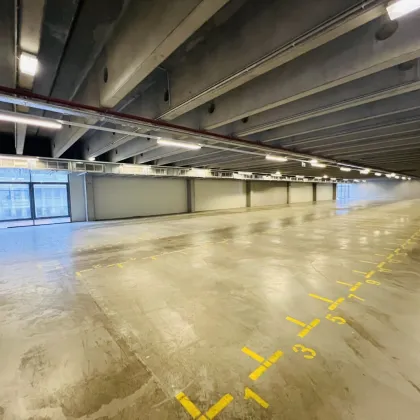 Top Lagerfläche (ca. 1.060 m2 ), inkl. Lastenlift/3 Laderampen, Parkplätzen, mit zusätzlicher Möglichkeit Bürofläche ( ca.200 m² ) anzumieten - Bild 2
