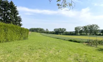 Litzelsdorf: Grundstück in Ruhelage ohne Bauzwang