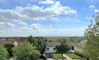 Baugrund mit Weitblick - ca. 1.130m² Grundstücksfläche - Bestandsgebäude vorhanden - Nähe: Strandbad Neusiedl am See und Mole West