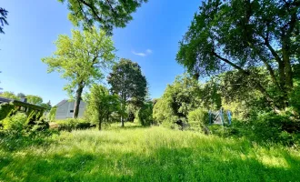 Großes und sonniges Grundstück in Wien Mauer!