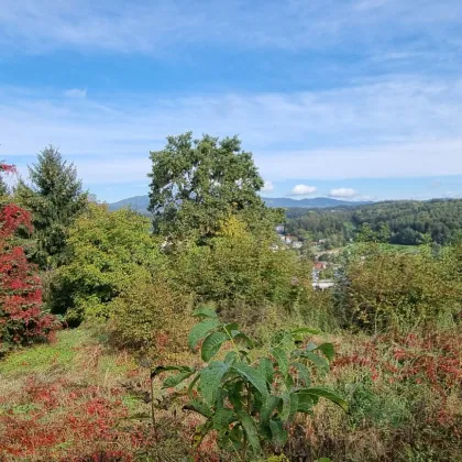 Bauträgergrundstück in 8042 Graz-Waltendorf - Bild 2