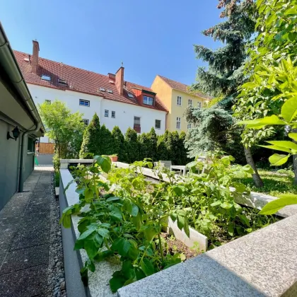 Großzügiger Wohntraum! 178m² Wohnfläche, Nebengebäude mit 100m², 158m² Garten, Garage sowie 5 Stellplätze. - Bild 2