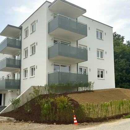 Traumhafte Erstbezugswohnung mit Balkon und Tiefgarage in Sierning! - Bild 2