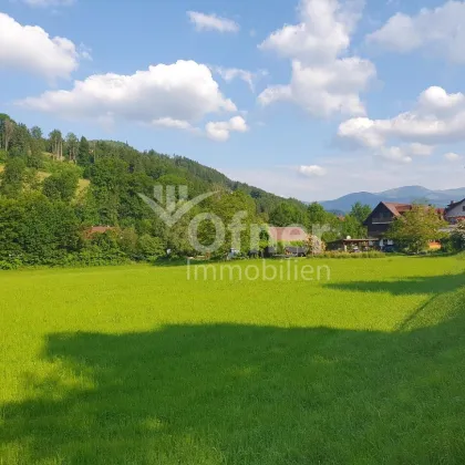 Großes, ebenes Grundstück in Bärnbach mit Potenzial - Bild 2