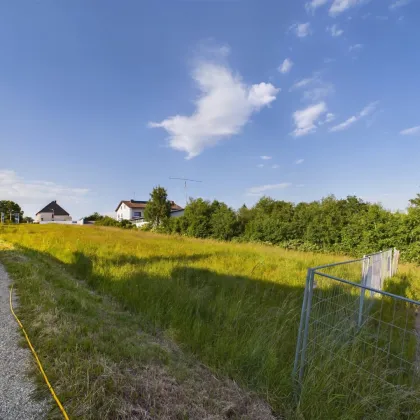 Tauchen Sie ein im Waldviertel: ZWETTL - Grundstück mit Grünblick ab 804 m² - AUFGESCHLOSSEN - Bild 2