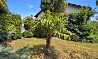 Familienfreundliches Haus  mit Traumpool in Sollenau