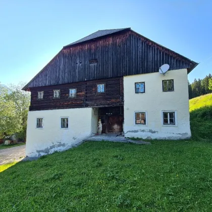 Großes, historisches Bauernhaus "Scheipplhof" 378 m² - Bild 2