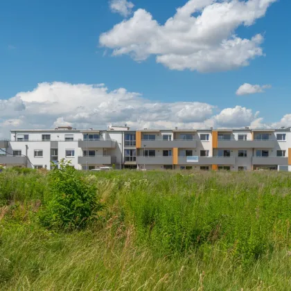 Dachgeschoß (neuwertig): Helle und freundliche 2-Zimmer-Wohnung im Grünen mit Süd-Balkon - Bild 2