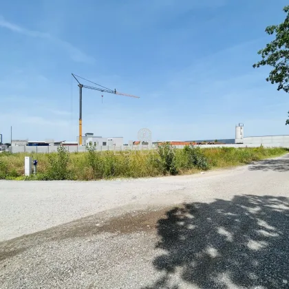 Schönes 2.000m2 Eckgrundstück in aufstrebendem Industriegebiet in Unterwaltersdorf zu mieten - Bild 2