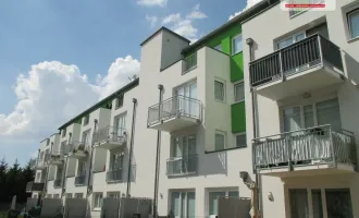 Geförderte 3-Zimmer Genossenschaftswohnung (Miete-Kaufoption) mit Balkon und KFZ-Abstellplatz zu vermieten!