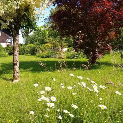 Exklusives Mehrfamilienhaus in Salzburg mit großem Garten - Bild 3