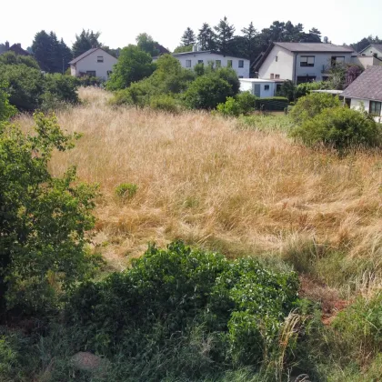 Großes Baugrundstück in Deutsch Wagram - PREISREDUKTION - Bild 3