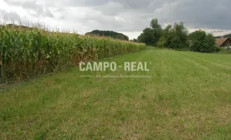 CAMPO LAND- U. FORSTWIRTSCHAFT: Hochwasserfreier Bauernhof - Pferdefreunde aufgepasst - 12,7 ha Acker und 10 ha Wald samt Bauernhaus