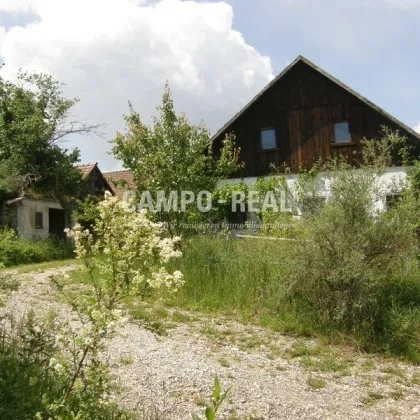 CAMPO LAND- U. FORSTWIRTSCHAFT: Hochwasserfreier Bauernhof - Pferdefreunde aufgepasst - 12,7 ha Acker und 10 ha Wald samt Bauernhaus - Bild 2