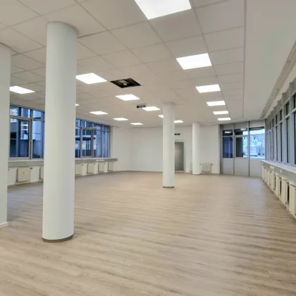 Beste Bürolage - Barriere Freiheit - Tiefgaragenstellplätze möglich - Bild 3