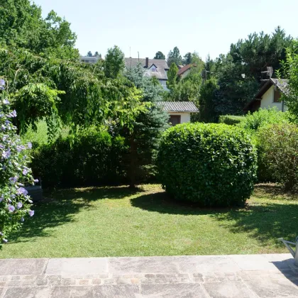 Bezauberndes Haus in Waldrandlage am Kolbeterberg - Naturidylle und Stadtnähe vereint - Bild 2