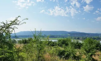 Baugrund an der Donau bei Melk mit Traumausblick bis zum Ötscher