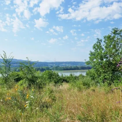 Baugrund an der Donau bei Melk mit Traumausblick bis zum Ötscher - Bild 3