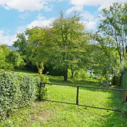 Baugrund auf leichtem Südhang in idyllischer Lage in Tulln-Nähe - Bild 3