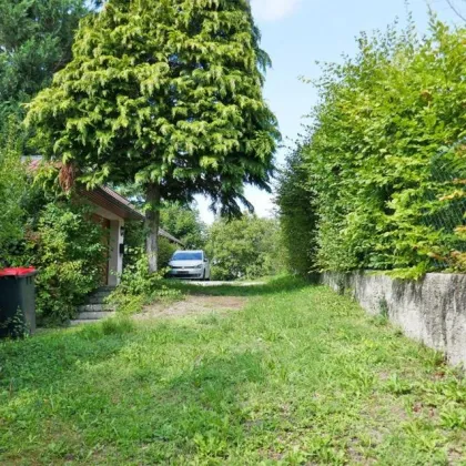 Baugrund auf leichtem Südhang in idyllischer Lage in Tulln-Nähe - Bild 2