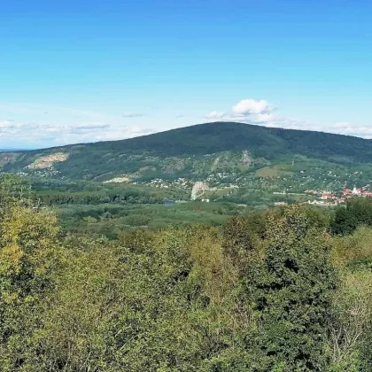 1300 m" Grundstück in Wolfsthal - Bild 2