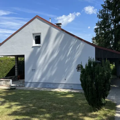 Haus 80m² mit 1300 m" Grundstück in Wolfsthal - Bild 2