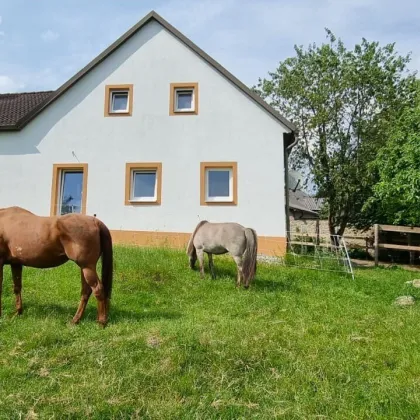 Schöner und hochwassersicher wohnen für Mensch und Tier mit 3 Hektar Grund - Bild 2