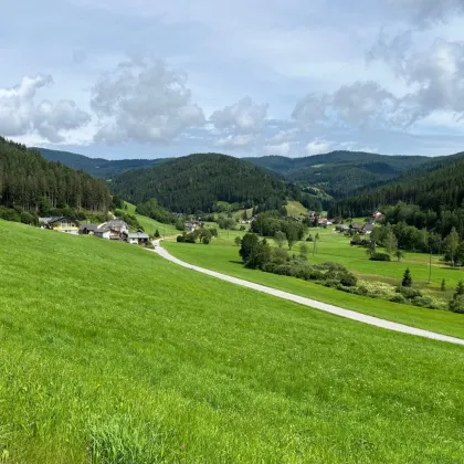 Wohnhaus mit zwei Nebengebäuden in ländlicher Lage - Bild 2