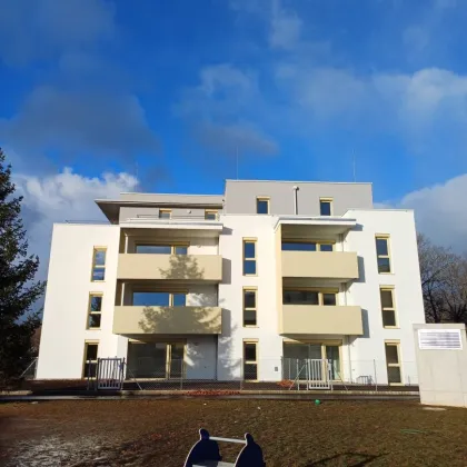 STAFFELMIETE 2-Zimmer-Balkonwohnung mit Ausblick zum Sonnenaufgang - Bild 3