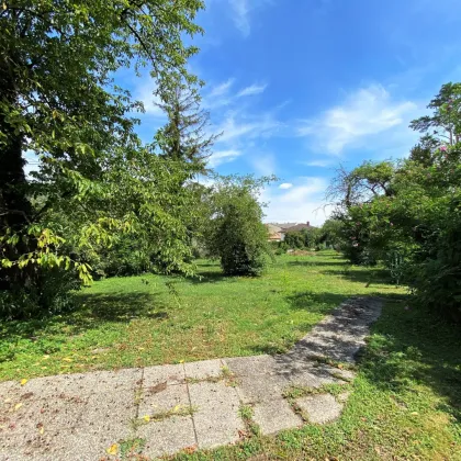 Grund mit ca. 2.305 m² | Sanierungsbedürftiges Haus | separate Doppelgarage | Wienerherberg - Bild 3