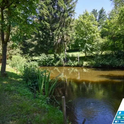 Natur pur!!! Außergewöhnliches Baugrundstück mit Teichanlage und Wasserrecht - Bild 3