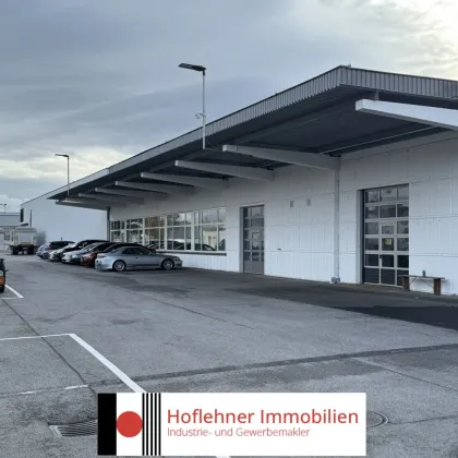 Neu saniert | Mehrzweckhalle | Nähe Autobahnauffahrt - Korneuburg West - Bild 2