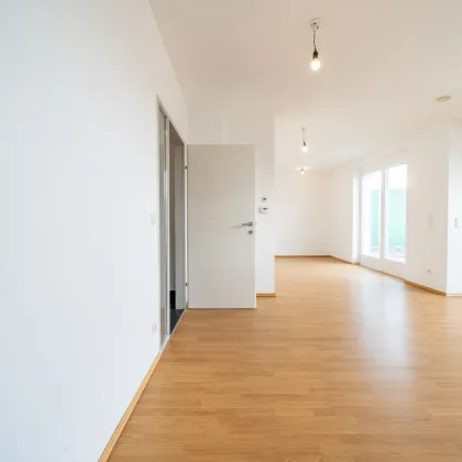 Ländliches Leben in Euratsfeld - 3 Zimmerwohnung im Grünen - Bild 3