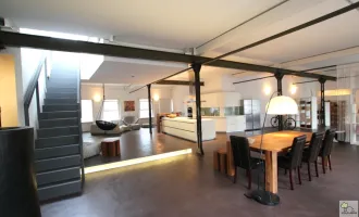 LOFT MIT DACHTERRASSE