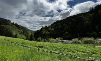 Sonniges Grundstück in top Lage