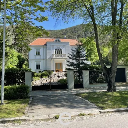 Villa in absoluter Grünruhelage im Helenenthal zu verkaufen - Bild 2