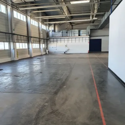 Zur Vermietung gelangt eine Lagerhalle mit ca. 700 m² Gesamtfläche in Siegendorf nahe Eisenstadt - Sopron - Bild 2