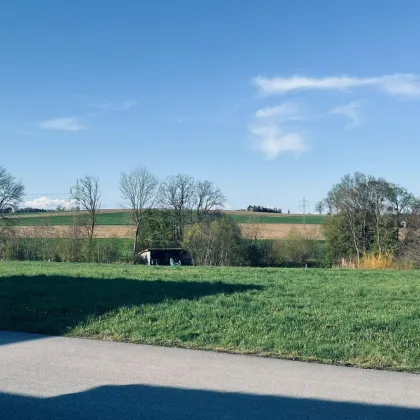 Einzigartiges Grundstück in Toplage - Bild 2