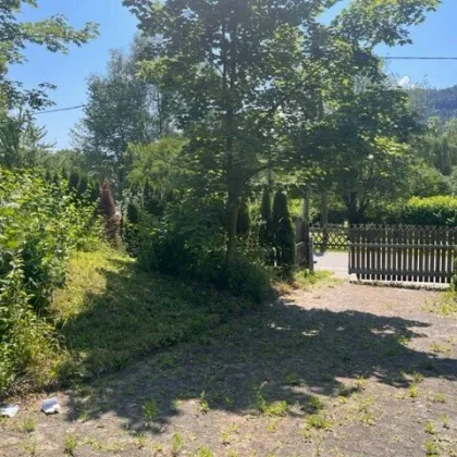 IDYLLISCHES SOMMERHAUS IN SEENÄHE - Bild 3