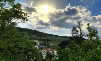 Villengrund mit Fernsicht Baugenehmigung! - Provisionsfrei - 1190 Neustift am Walde