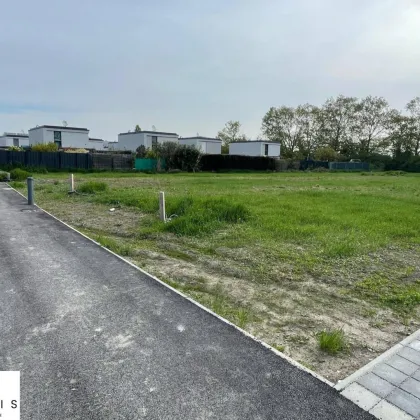 Unbebauter Eigengrund in neu errichteter Kleingartenanlage | 214m² - Nord-Süd-Ausrichtung - Bild 3