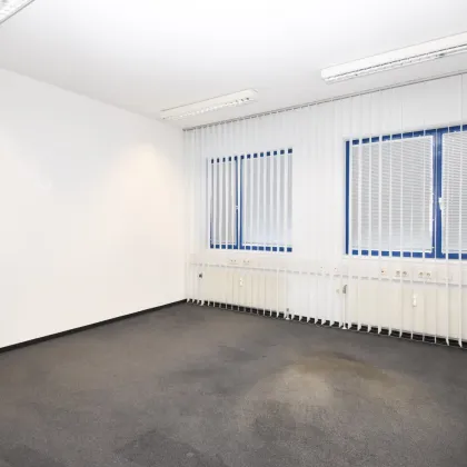 1230 Wien, geräumige Bürofläche - 290 m2 - zu mieten - Bild 2