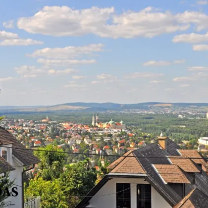 BAUGRUND fantastischer FERNBLICK, Sachsenviertel Klosterneuburg - Bild 3