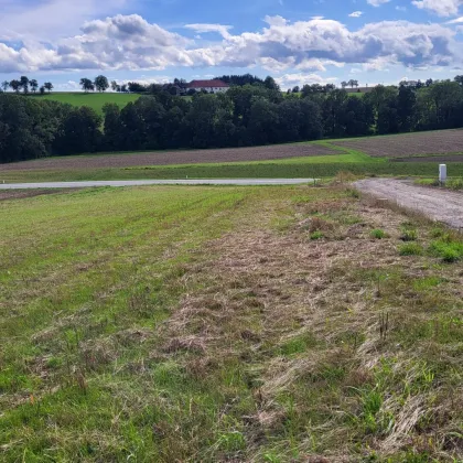 Wahlweise Geschoßwohnbau oder Einzelhaus - Bild 2