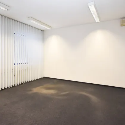 1230 Wien, geräumige Bürofläche - 340 m2 - zu mieten - Bild 2